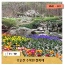 아산선운산작은도서관 | 영인산 철쭉제, 아산 봄꽃 명소 미리보기 여행보고서