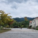 치악산둘레길 11코스 한가터길 이미지