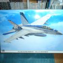 [Hasegawa] 1/48 F/A-18E SUPER HORNET (#1.가조립) 이미지