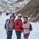 인제19-1 이미지