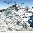 영통단단마디의원 이미지