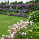 안성리-6 이미지