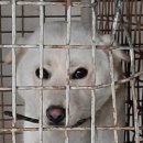 연동파출소 이미지