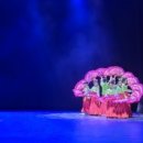 광명청소년예술단 정기공연 이미지