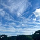 향-녹음의 계절 이미지