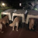 호텔훈트(Hotel Hunde) 이미지