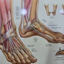 곤륜한의원 이미지