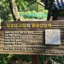 황금산 한우