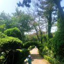 백화원리조트 | 태안리조트 백화원: 대가족도 만족한 2만 평 정원 속 태안 독채펜션