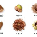 신남성초등학교 이미지