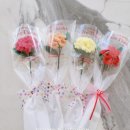 한송이유치원 이미지