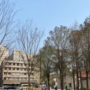 신소 | IN SHANGHAI | 상해여행② 콜롬비아써클(상생신소上生新所)- 츠타야서점, coffeaSHED, 여러 소품샵, 수영장