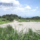 제주리조텔 이미지