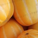 성주농장 이미지