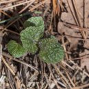 청태산자연휴양림 이미지