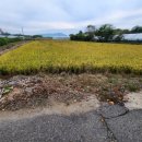 기창농장 이미지