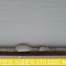 바이오힐스