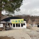 일기(4) 딸기딸기한 3월 말🍓전회사 회식 /남양주 딸기 여행 / 엠베서더호텔 딸기 에프터눈 티 세트 후기