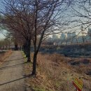 지천생태공원 이미지