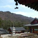 원주시 관광안내소 이미지