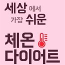 톡톡 체온다이어트