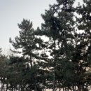 장금이 펜션 네이버블로그