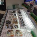 우리수산 이미지