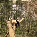 정미소김치관 | 1월1주차부터 2주차까지ㅣ연초라는 건 내 생일이 다가왔다는 것ㅣ새로운 계획