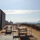 바다와 산뷰를 동시에 즐길 수 있는 부산 오륙도 근처 대형 베이커리 카페 가원