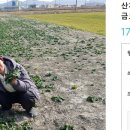 김영란농장 이미지