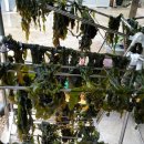 가마솥에누룽지 이미지