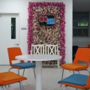 금천동 행정복지센터 이미지