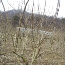 기지농장 이미지