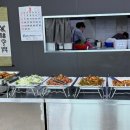 동락 티스토리
