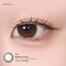 다비치안경사상이마트점 이미지