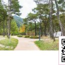 강동로4-8 이미지