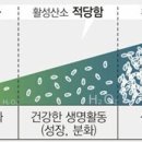 동아산소