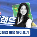 아일랜드법인