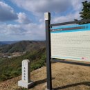 임천 가림성 느티나무 이미지