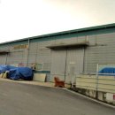 김포대명초등학교 이미지