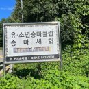 퀸즈승마장 | 대전 승마장 퀸즈승마에서 체험 후기