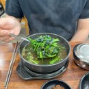 충북 옥천 맛집 금강올갱이에서 올갱이국밥 처음 먹어 본 솔직후기