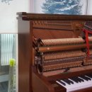 부영상회 이미지