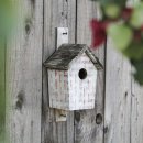 소설로 배우는 영어 이미지