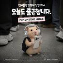 오피스채널원주점 | 팝업 : 오늘도 출근햄니다 정서불안 김햄찌 팝업스토어 평일 현장방무 후기 굿즈정보