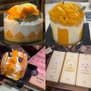 대전 성심당 임산부 프리패스 망고시루 메론시루 망고와르르 망고롤 메론롤 성공 후기
