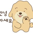 마이달링독 이미지