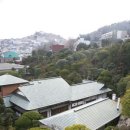 유달산 관광 여행사