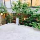 코이에(KOIE) 이미지