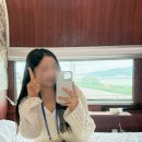 이 가격 실화? 해랑열차 국내 기차여행 전국일주 가격 후기